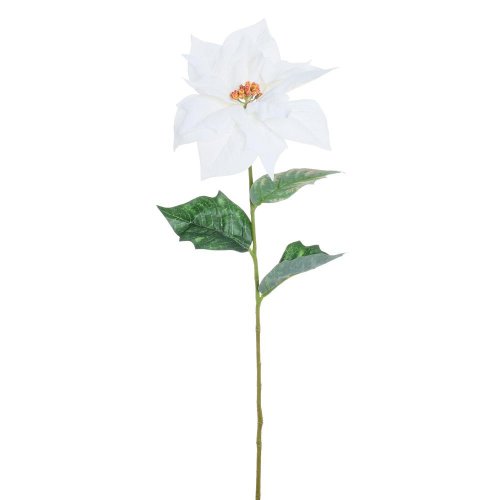 Vianočná ruža  krém 61cm