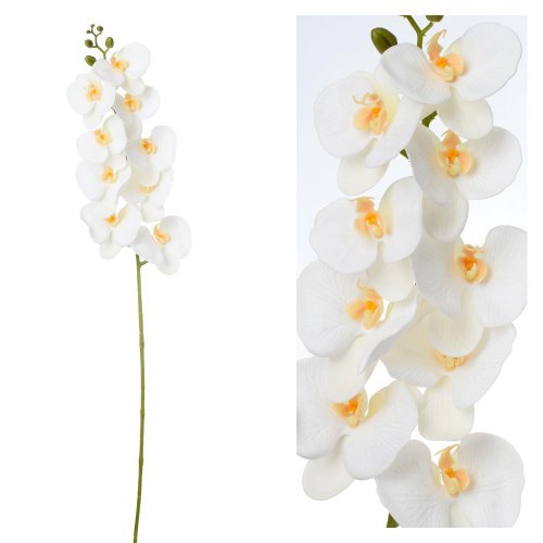 Orchidea phalenopsis biela 96cm