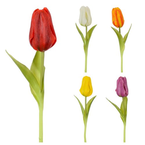 Ks tulipán mix/f 24cm