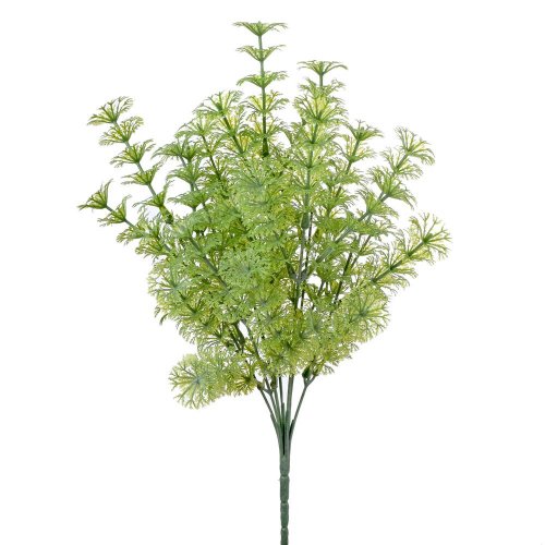 Zeleň papraď zelená 36cm