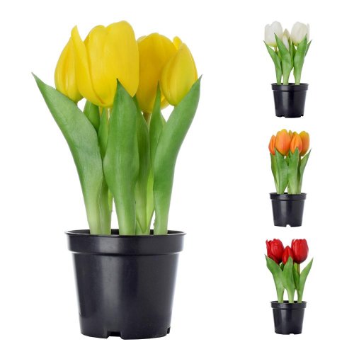 Tulipán mix/f v kvetináčiku 21cm