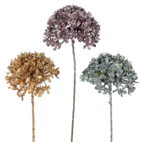 Ks hortenzia mini glilt, mix/f 30cm
