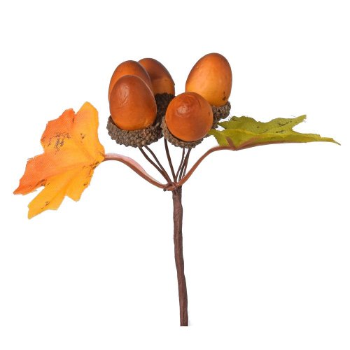 Zápich žalude, listy 13cm