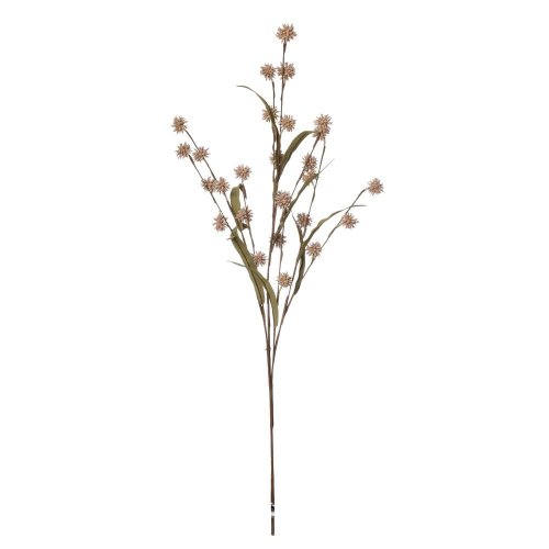 Konár bodliak ruž/béž 75cm