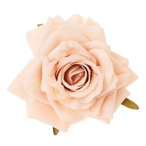 Hlava ruža 4cm bal.12ks marhulková