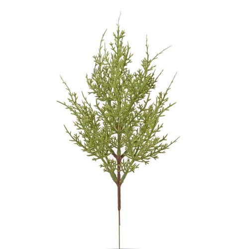 Zápich zeleň cyperus x13 36cm