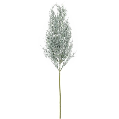 Konár tuja zeleno-biela 64cm