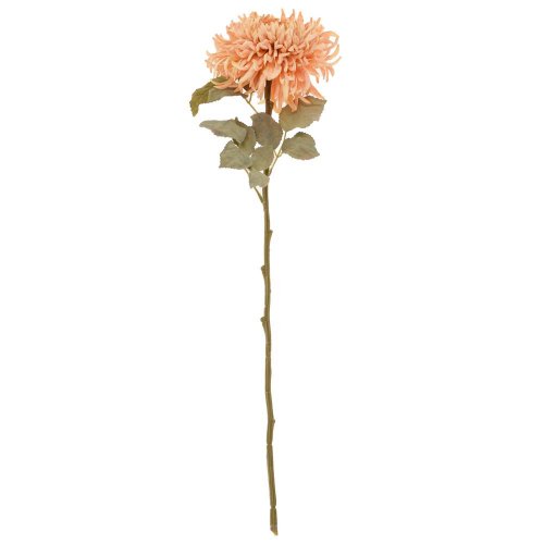 Ks chryzantéma bl. oranžová strapatá 65cm