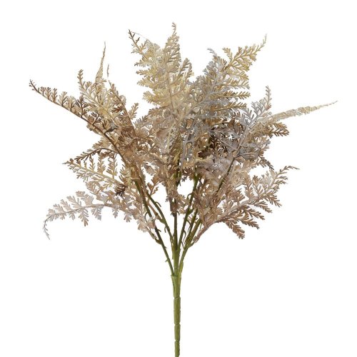 Zeleň papraď hnedá 42cm