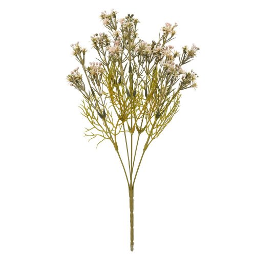 Zeleň waxflower zeleno-ružová 36cm