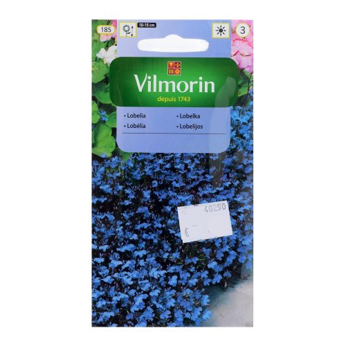 Lobélka drobna, nizka blue carpet 0,5g - Umelé kvety