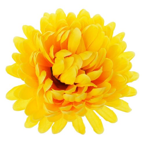 Hlava chryzantéma žltá 10cm bal:12ks