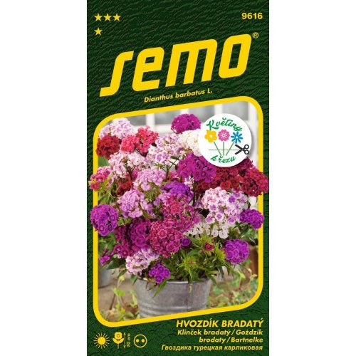 Klinček bradatý fragrance mix 0,5g