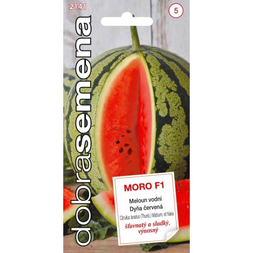 Dyňa červená moro f1 10s