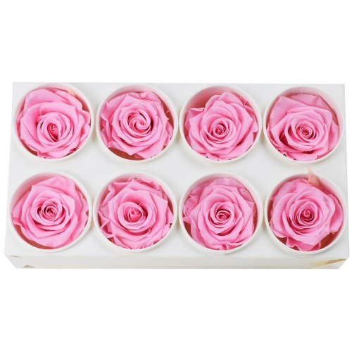 Ruža preparovaná 5cm bridal pink /ks - bal. 8 ks