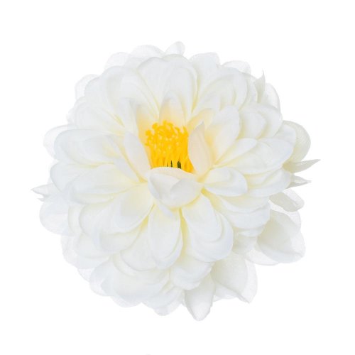 Hlava dahlia smotanová 10cm bal:12ks