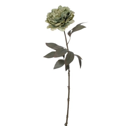 Ks pivónia zelená 68cm