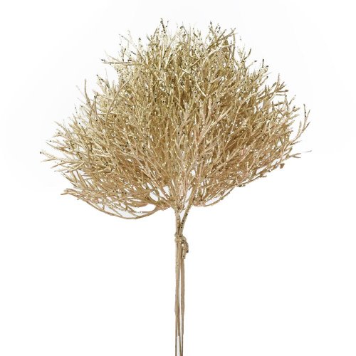 Zeleň coral šampaň x3 20cm