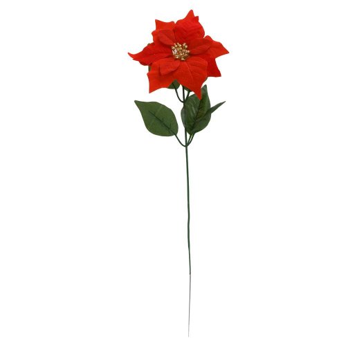 Ks poinsetia červená, zeleň 50cm