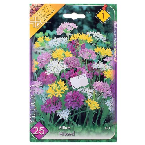 Allium mix ii - Umelé kvety