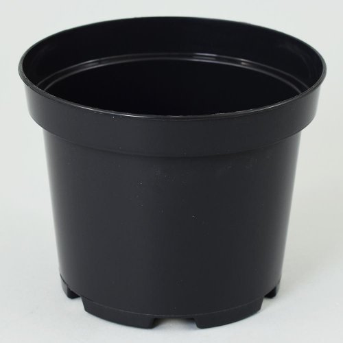 Kontajner 19cm, 3l sbx