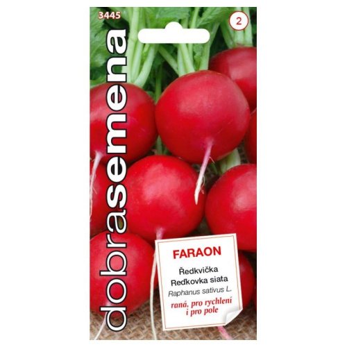 Reďkovka faraon 3g