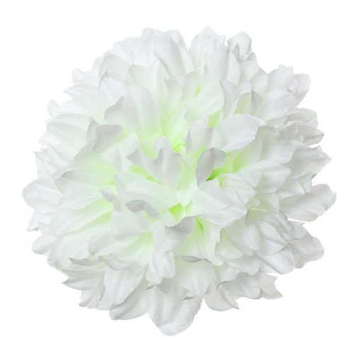 Hlava chryzantéma biela 15cm bal:12ks