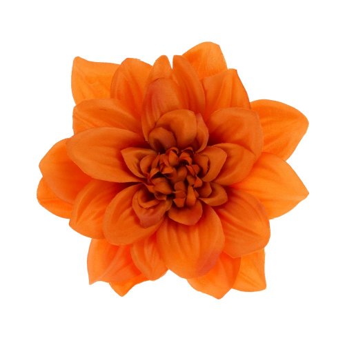 Hlava dahlia 14cm bal.12ks oranžová