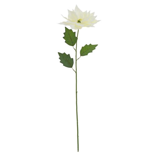 Ks vianočná ruža biela 75cm