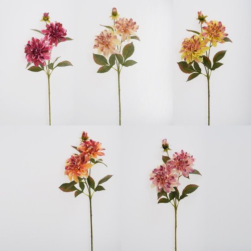 Ks dalia, zeleň mix/5f 68cm