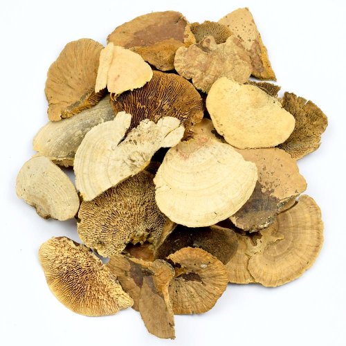 Sponge mushroom mix 250g i195npacz /i430pacz - Vianočné dekorácie a ozdoby
