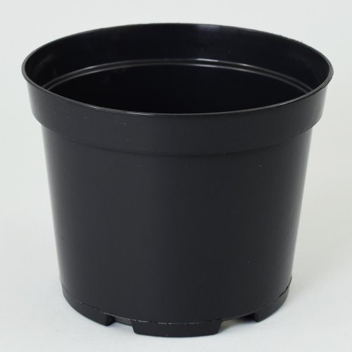 Kontajner 25/26cm, 7,5l sbx