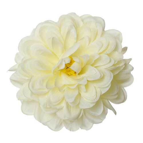 Hlava dahlia krém p:10cm bal:12ks