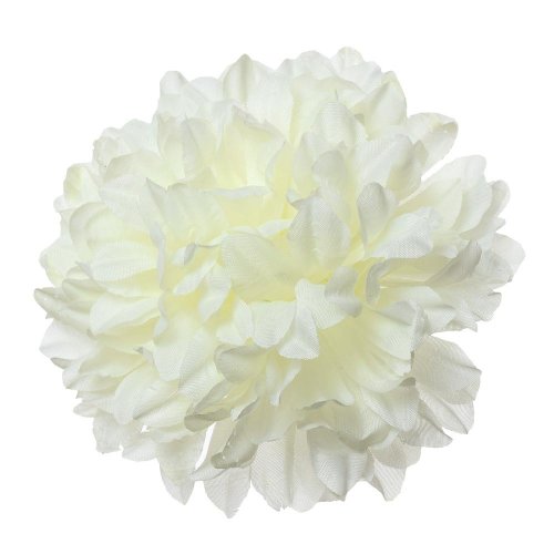 Hlava chryza. smotanová p:15cm bal:12ks