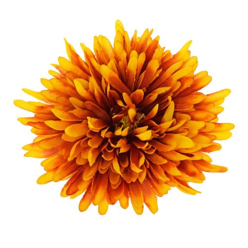 Hlava chryzantéma oranžový melír d:16cm bal:12ks