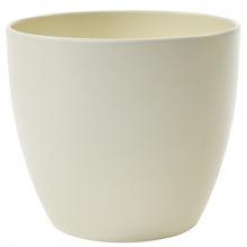 28332 obal creme 920/25