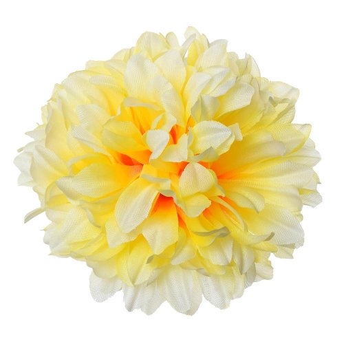 Hlava chryza. krém s oranž stredom v:8cm priem:13cm bal:12ks