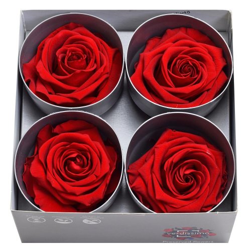 Ruža preparovaná 7/8cm red /ks - Umelé kvety