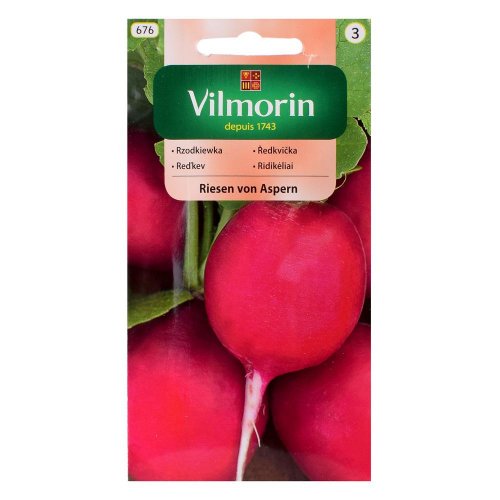 Reďkev riesen v. aspern 3g
