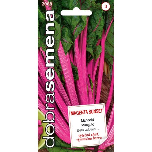 Mangold magenta sunset 2,5g
