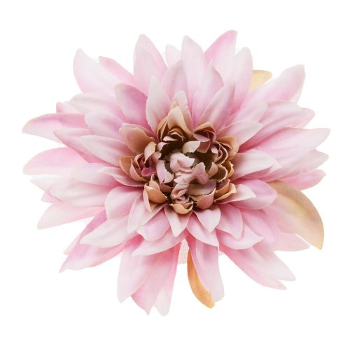 Hlava dahlia 4cm bal.12ks fialková