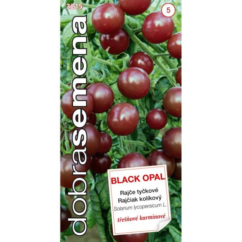 Rajčiak kol. čereš. black opal 15s