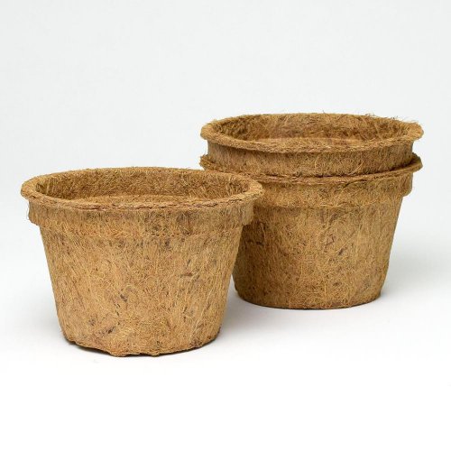 Sada kokos.sadbov.1l/3ks 15,5x10cm