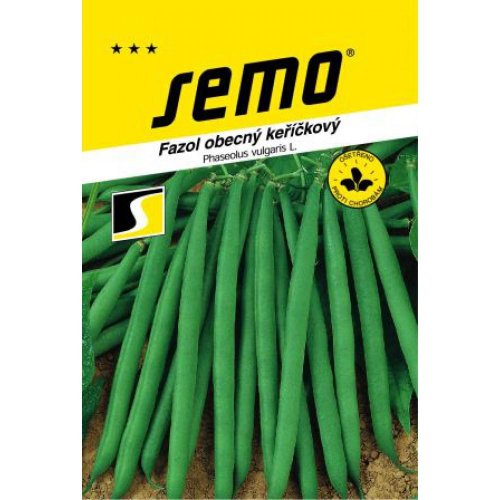 Fazuľa kríč zelená bona (bolero) 20g