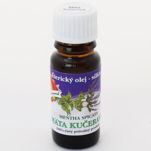 Mäta kučeravá cz