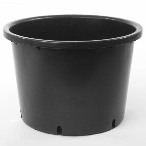 Kontajner 39cm, 25l