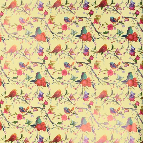 Fólia bird bobine  40my 0,80x40mt bird giallo