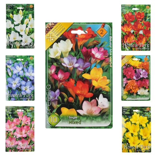 Freesia mix - Umelé kvety