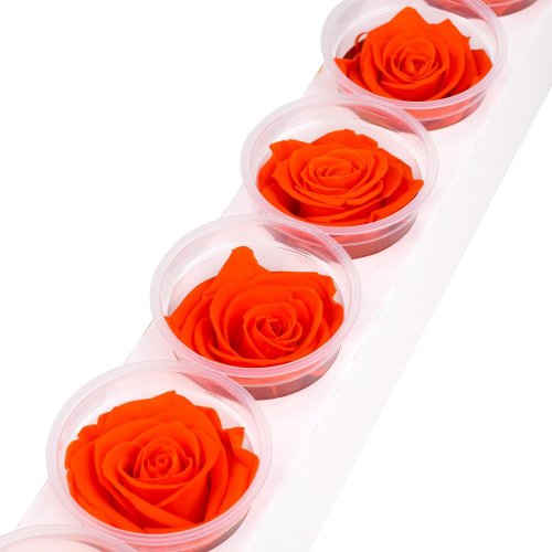 Ruža preparovaná 6,5cm orange flame /ks - bal. 6 ks - Vianočné dekorácie