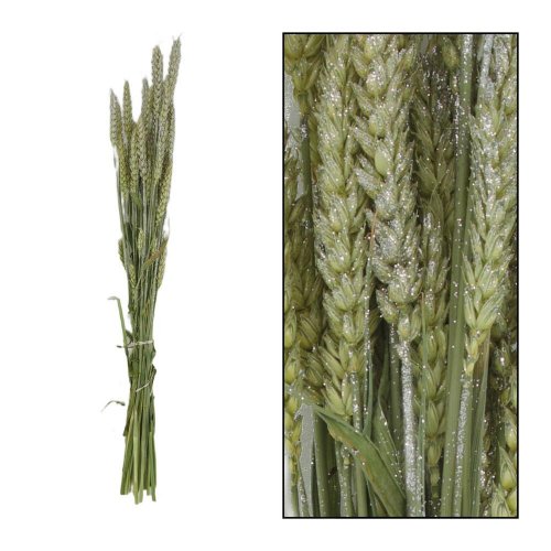 Triticum nature zv.silver 70x10x5cm